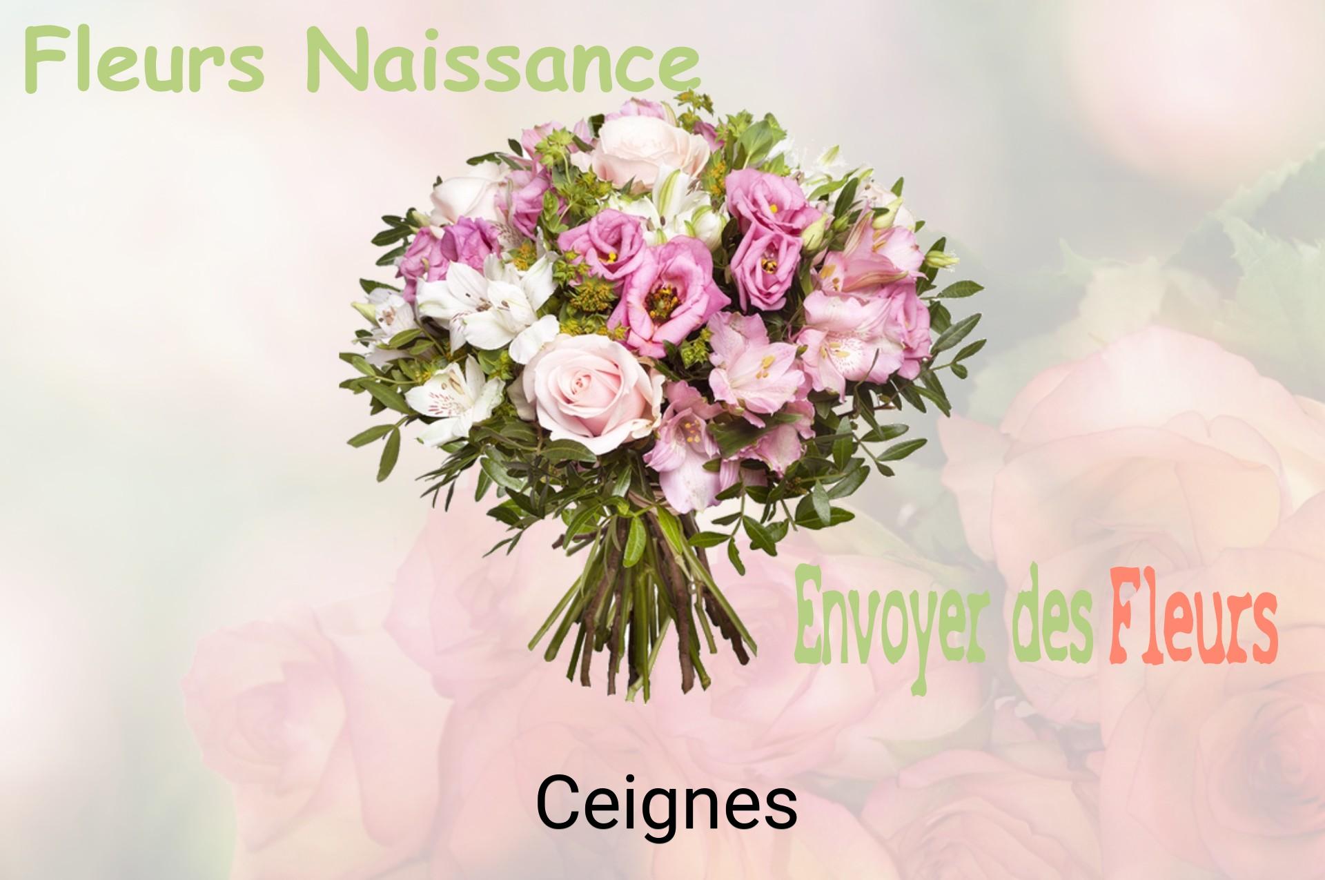Bouquet de fleurs de naissance livré à Ceignes