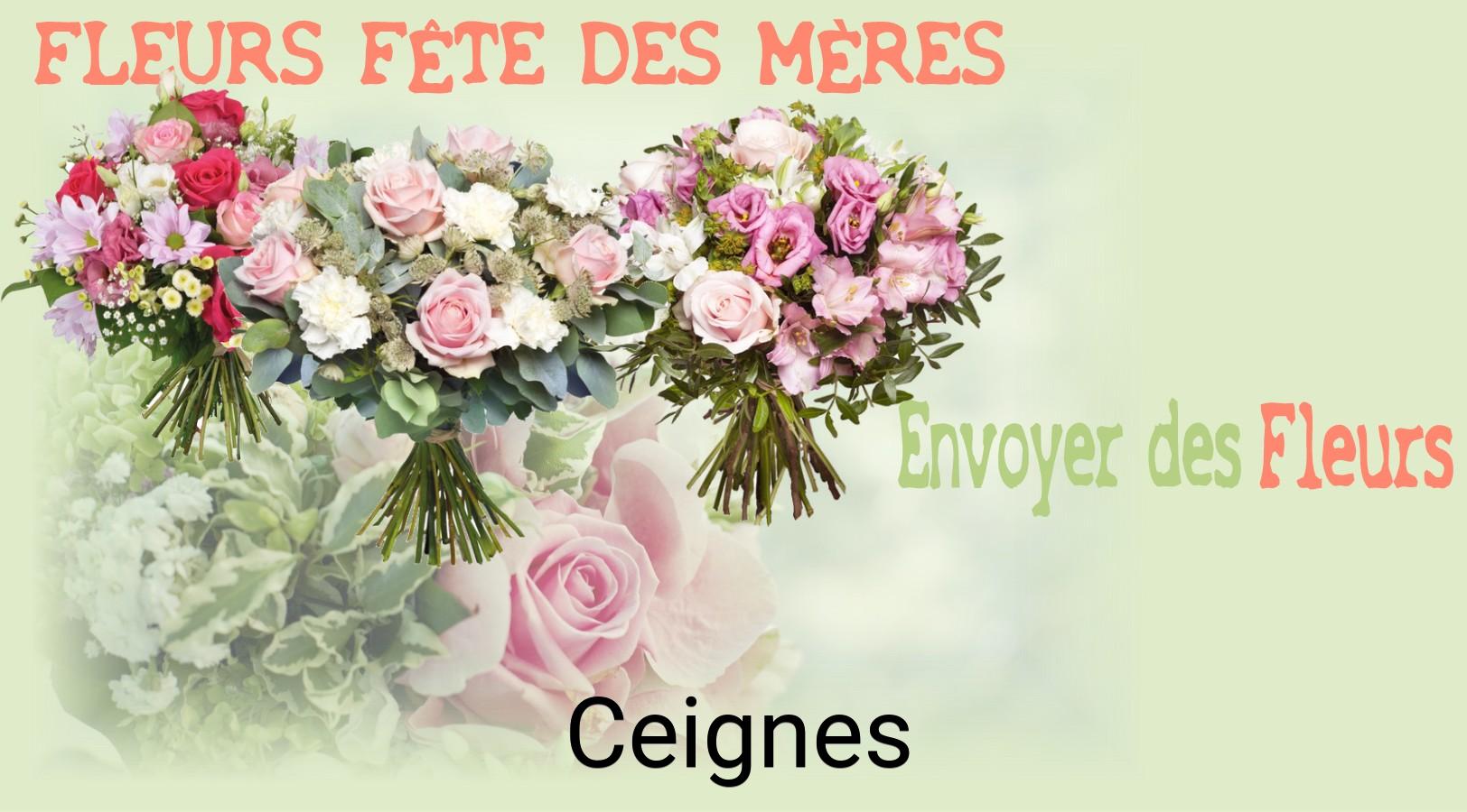 Bouquet de Fête des Mères livré à Ceignes